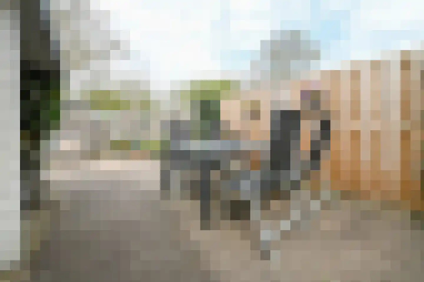 Kievit 31 Mijdrecht thumbnail 4