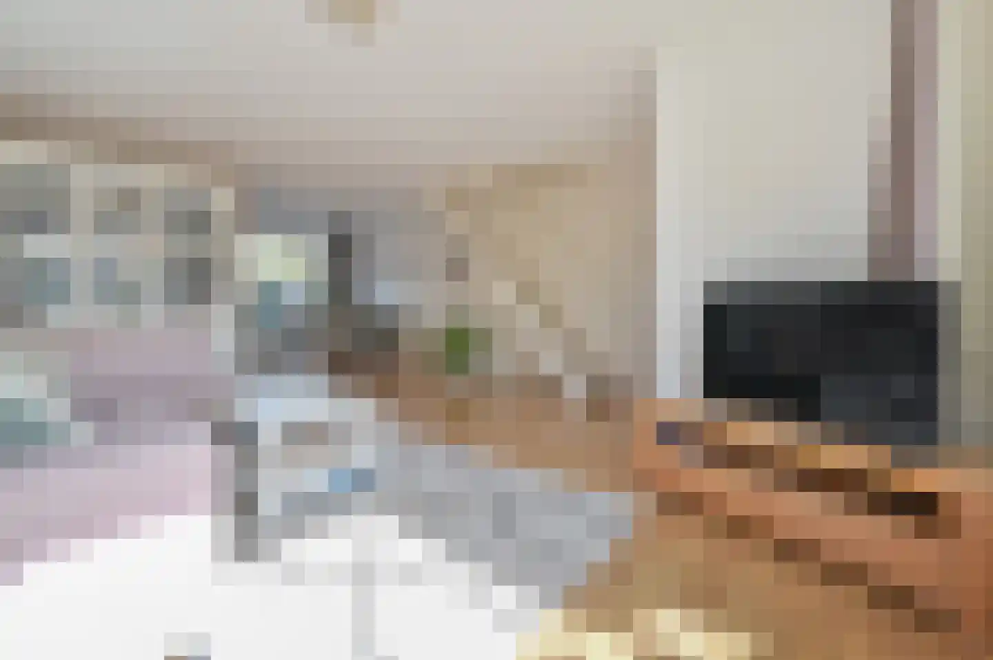 Kievit 31 Mijdrecht thumbnail 6