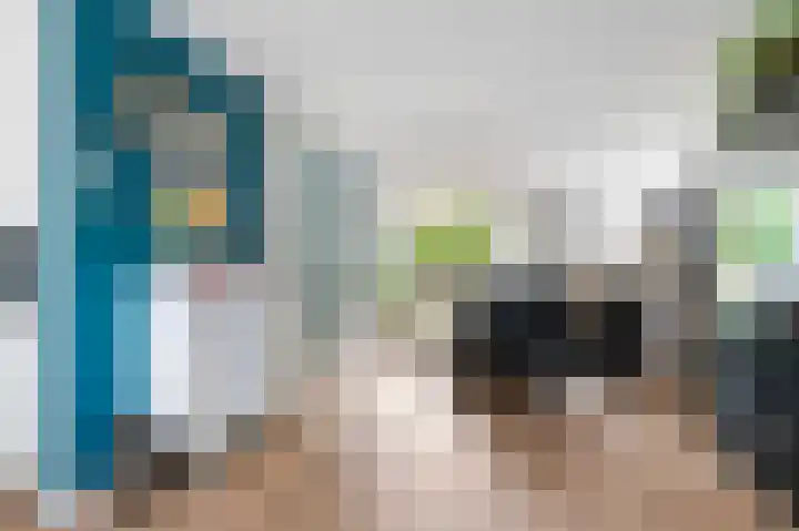 Kievit 32 Wijhe thumbnail 10