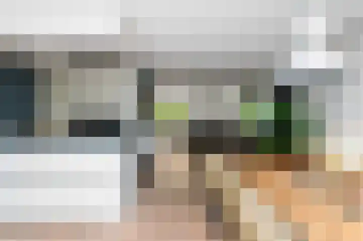 Kievit 32 Wijhe thumbnail 11