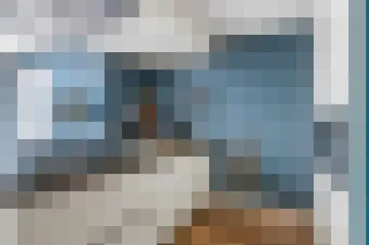 Kievit 32 Wijhe thumbnail 12