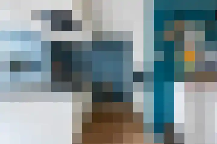 Kievit 32 Wijhe thumbnail 13
