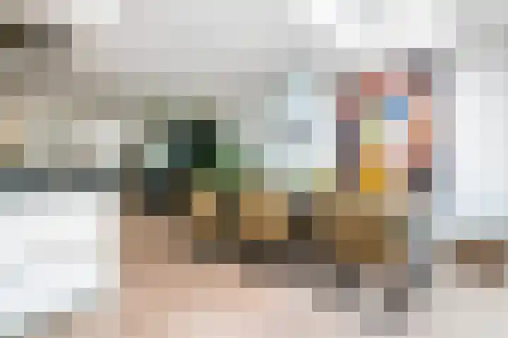 Kievit 32 Wijhe thumbnail 14