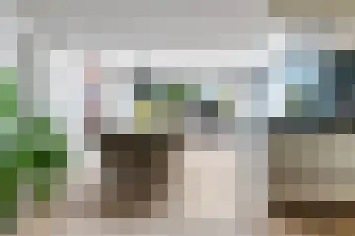 Kievit 32 Wijhe thumbnail 15