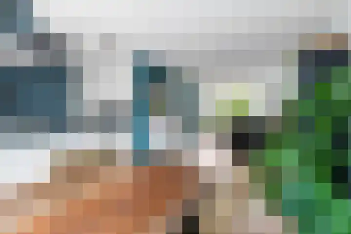 Kievit 32 Wijhe thumbnail 16