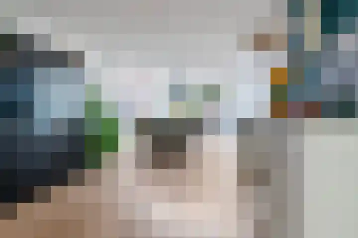 Kievit 32 Wijhe thumbnail 17
