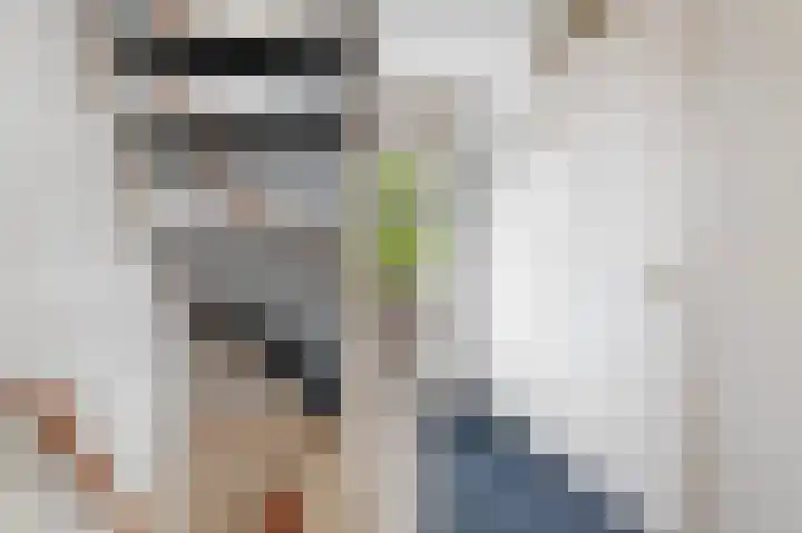 Kievit 32 Wijhe thumbnail 18