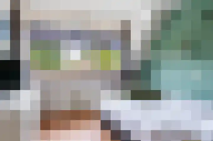 Kievit 32 Wijhe thumbnail 19