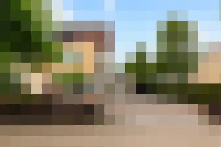Kievit 32 Wijhe foto 2
