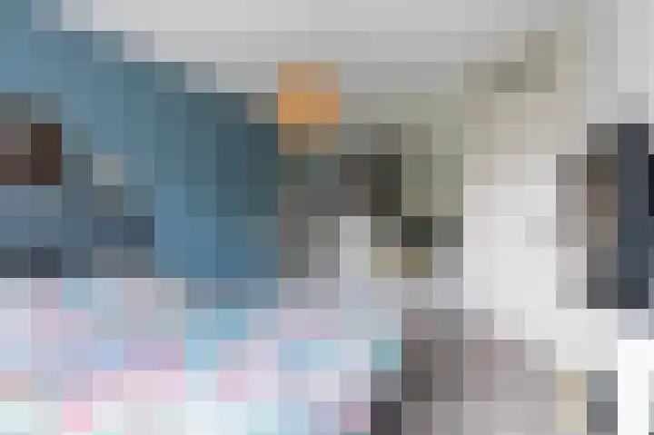 Kievit 32 Wijhe thumbnail 21