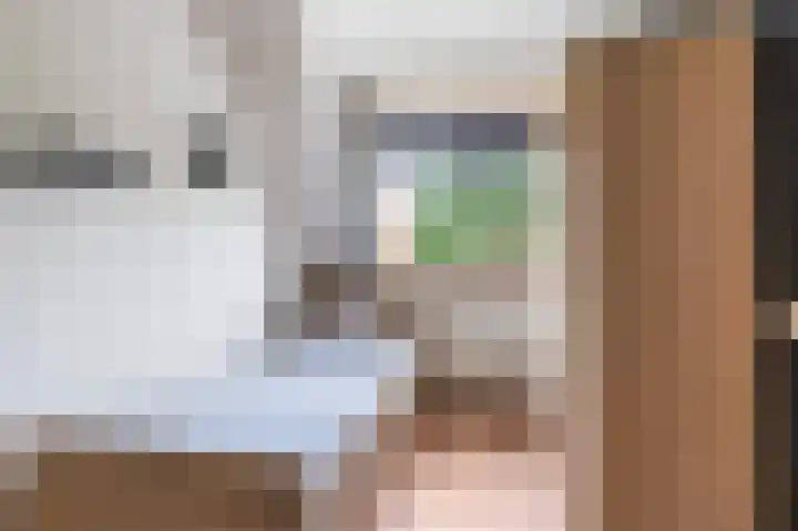Kievit 32 Wijhe thumbnail 22