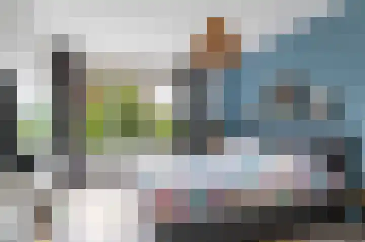 Kievit 32 Wijhe thumbnail 23