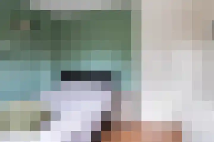 Kievit 32 Wijhe thumbnail 24