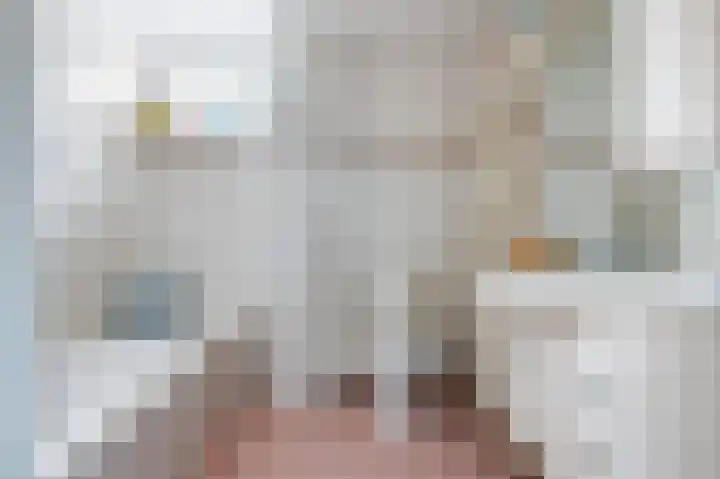Kievit 32 Wijhe thumbnail 26