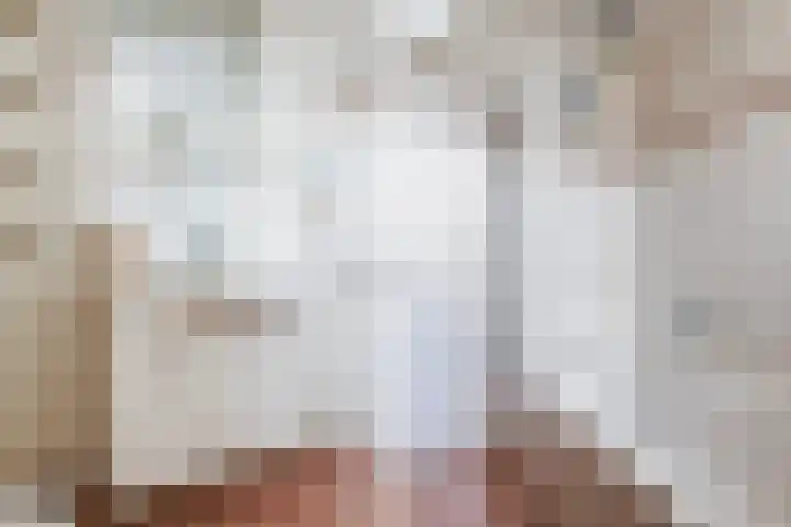 Kievit 32 Wijhe thumbnail 27