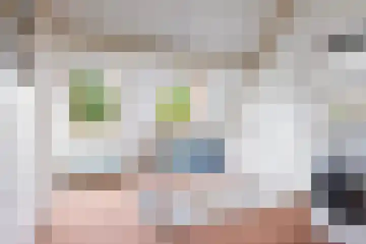 Kievit 32 Wijhe thumbnail 28