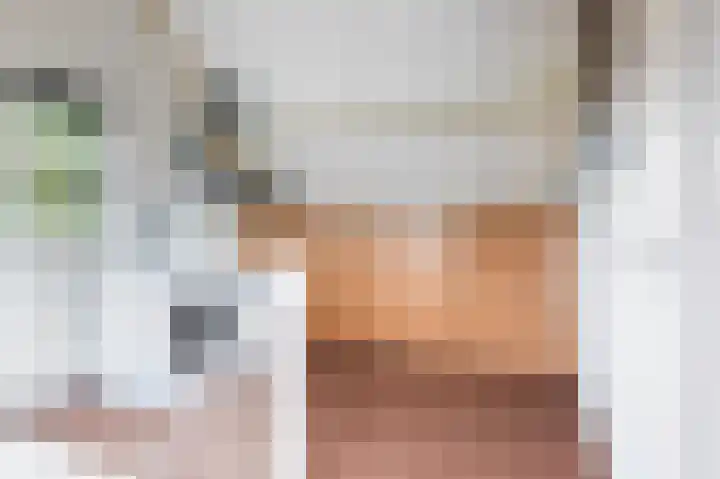 Kievit 32 Wijhe thumbnail 29