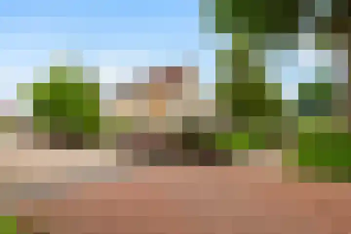 Kievit 32 Wijhe foto 3