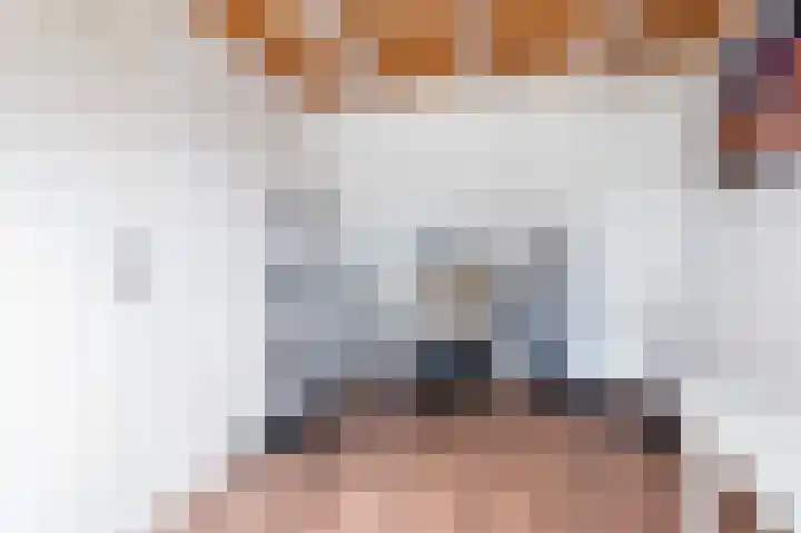Kievit 32 Wijhe thumbnail 30