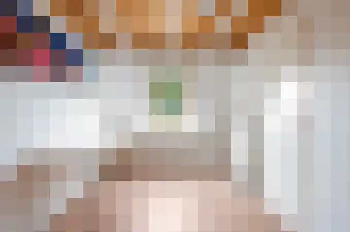 Kievit 32 Wijhe thumbnail 31