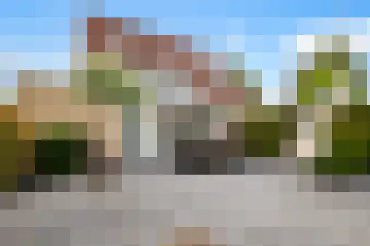 Kievit 32 Wijhe thumbnail 32