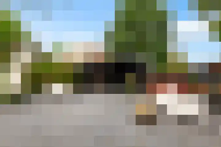 Kievit 32 Wijhe thumbnail 33
