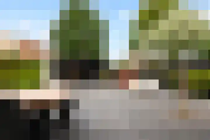 Kievit 32 Wijhe thumbnail 35