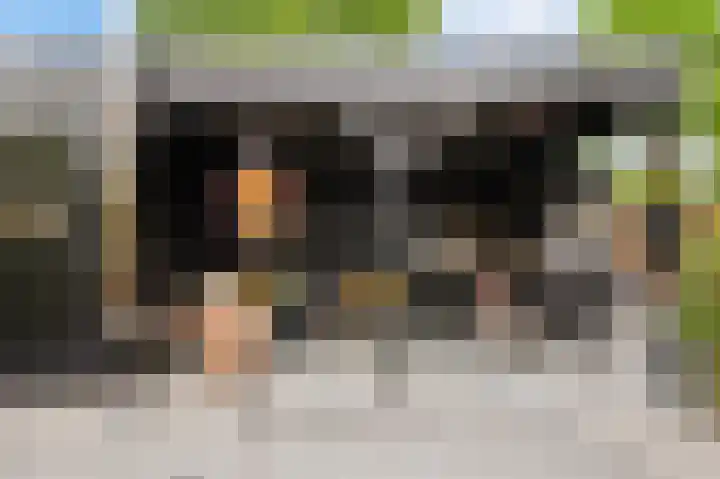 Kievit 32 Wijhe thumbnail 36
