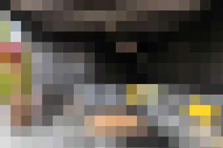 Kievit 32 Wijhe thumbnail 37