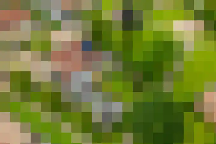 Kievit 32 Wijhe thumbnail 38