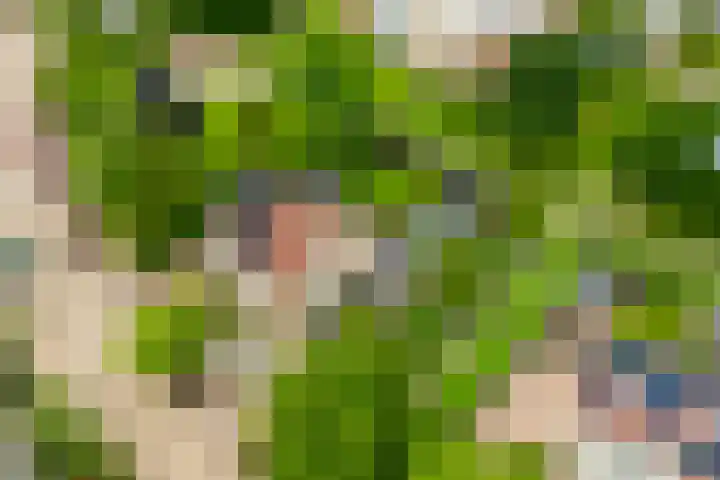 Kievit 32 Wijhe thumbnail 39
