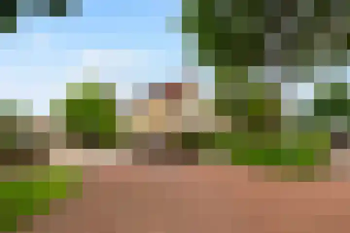 Kievit 32 Wijhe thumbnail 4