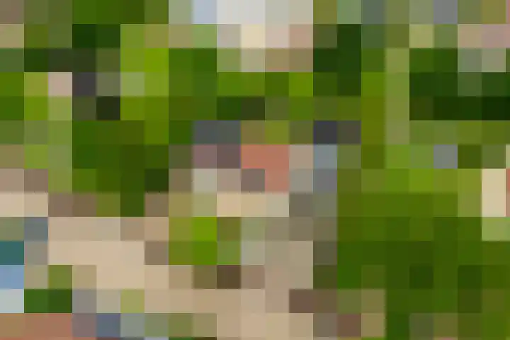 Kievit 32 Wijhe thumbnail 40
