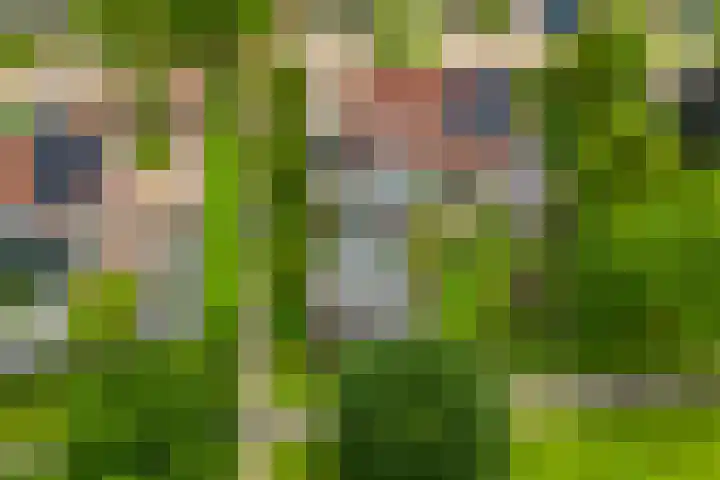 Kievit 32 Wijhe thumbnail 41