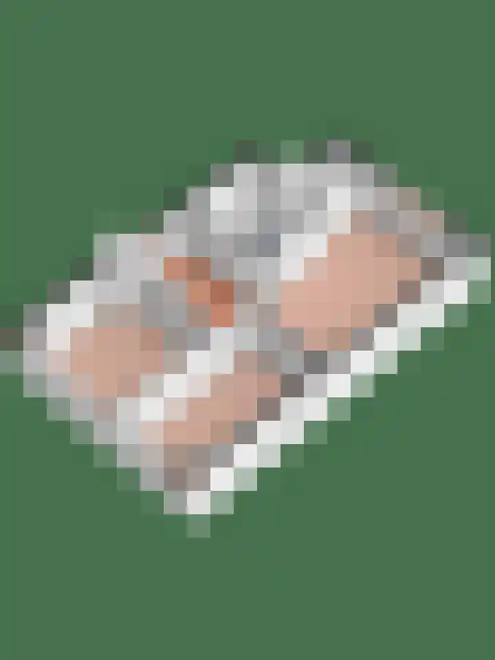 Kievit 32 Wijhe thumbnail 45