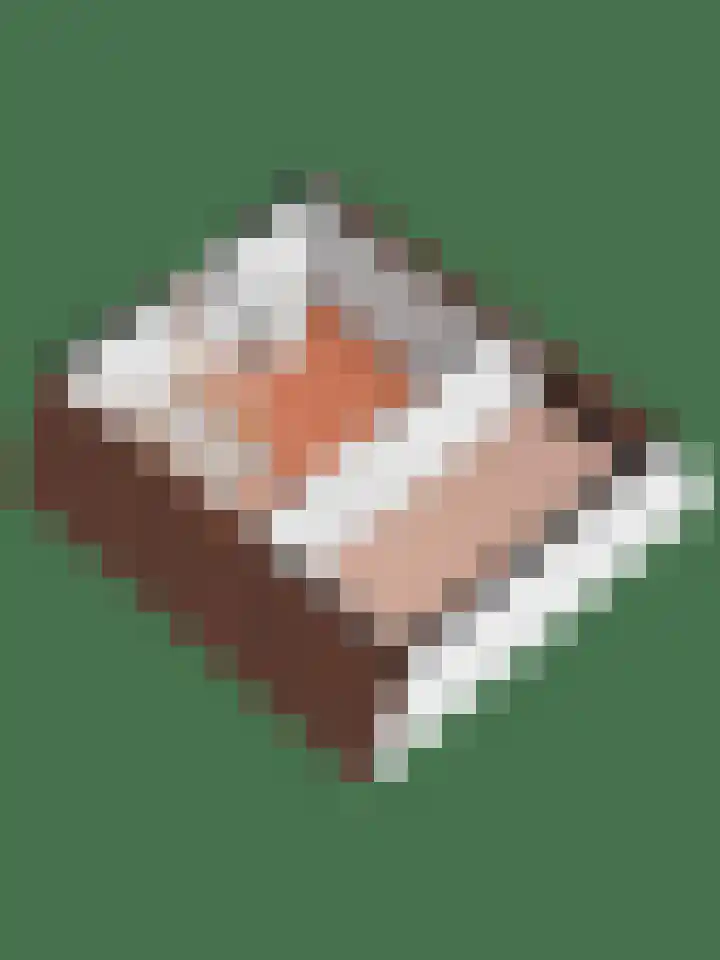 Kievit 32 Wijhe thumbnail 47