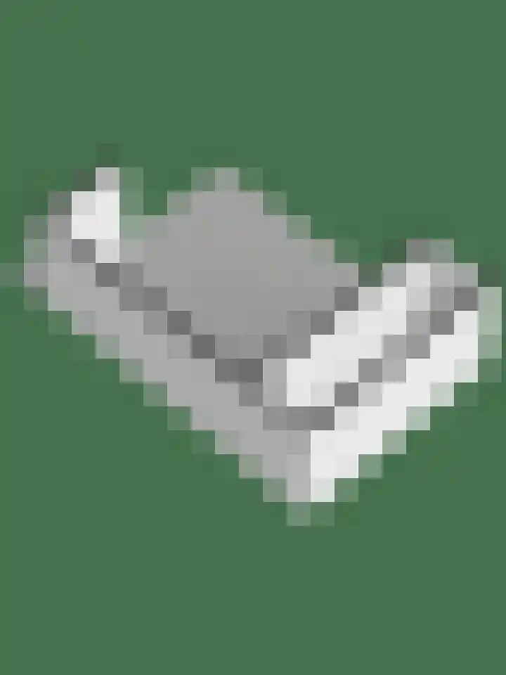 Kievit 32 Wijhe thumbnail 49