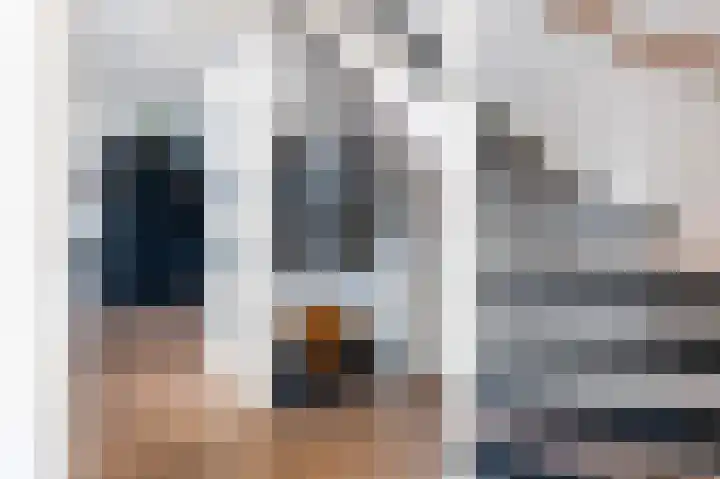 Kievit 32 Wijhe thumbnail 5