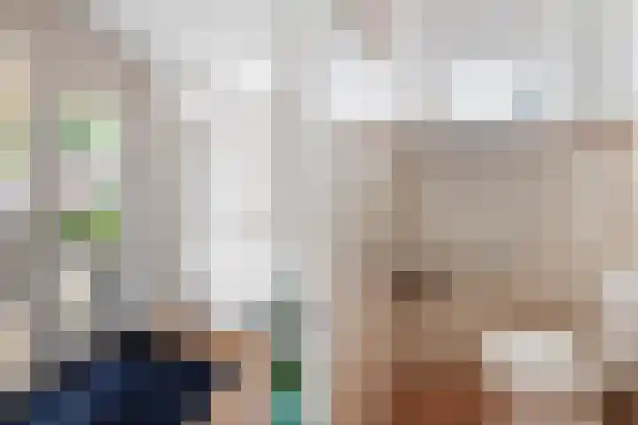 Kievit 32 Wijhe thumbnail 6