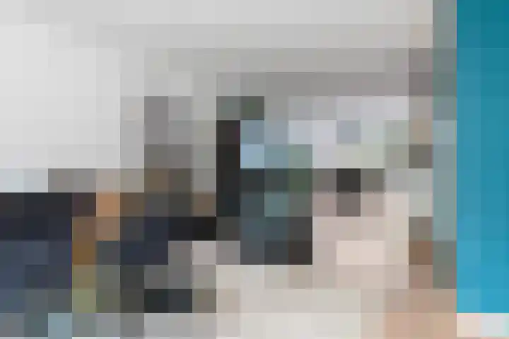 Kievit 32 Wijhe thumbnail 7