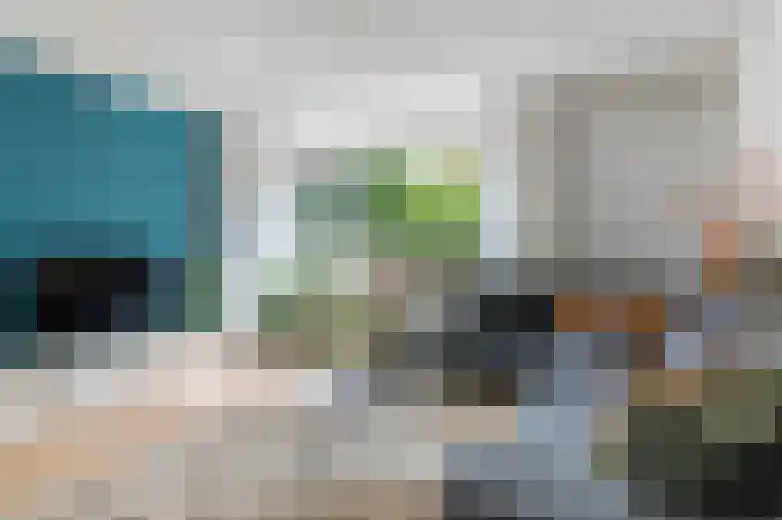 Kievit 32 Wijhe thumbnail 8