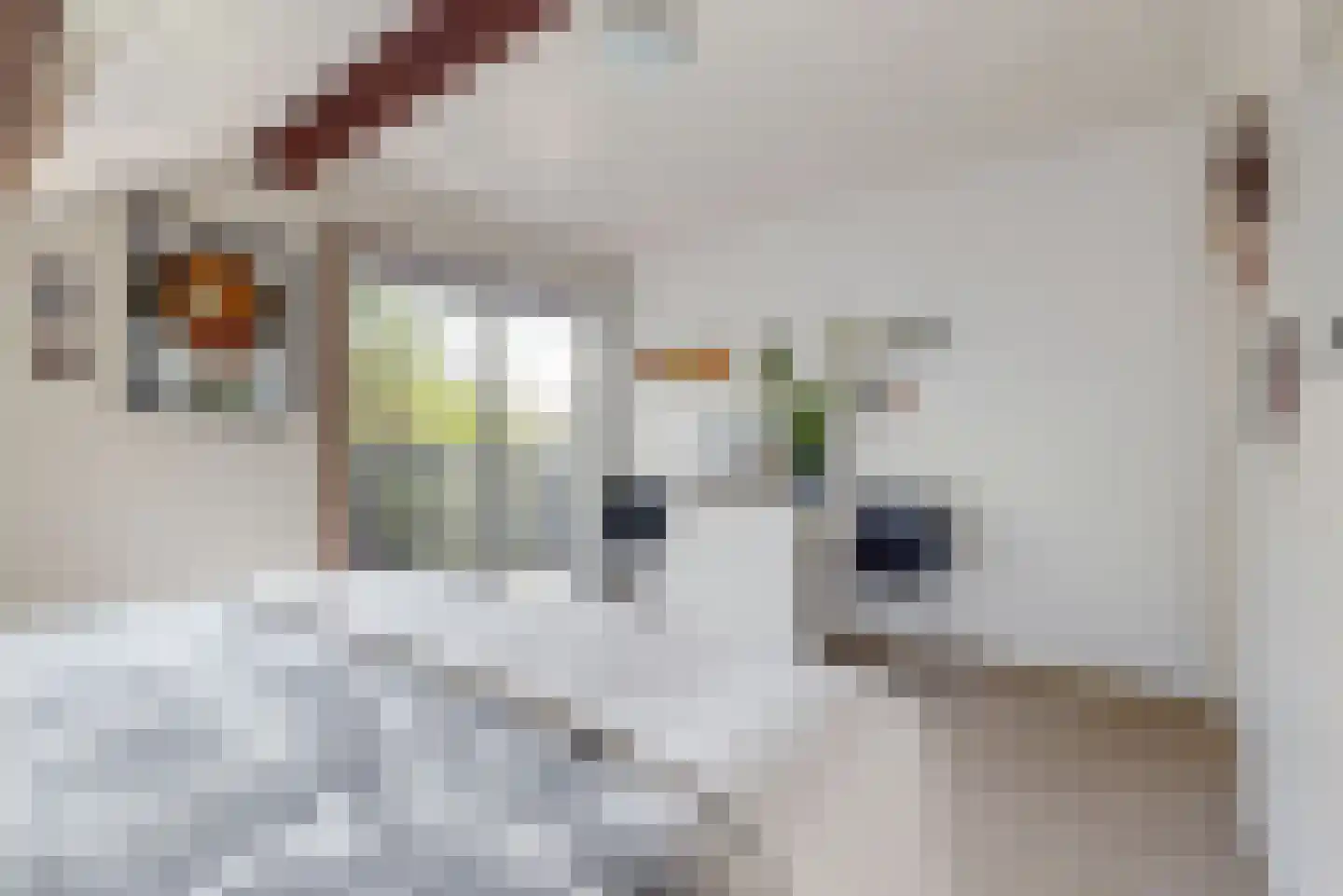 Kievit 36 Castricum thumbnail 23