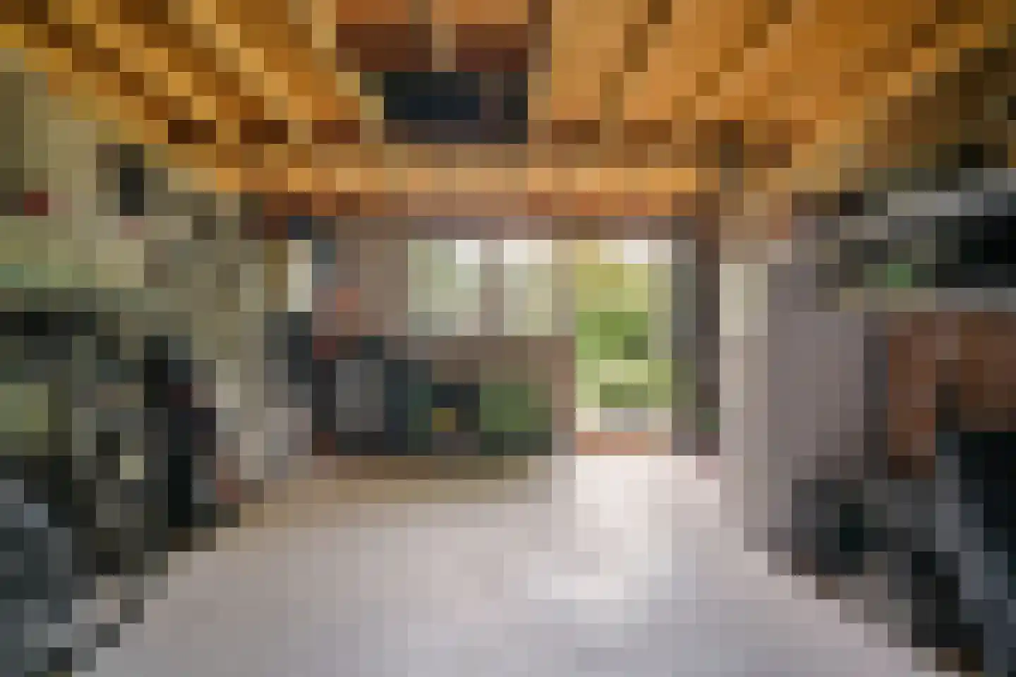 Kievit 36 Castricum thumbnail 37