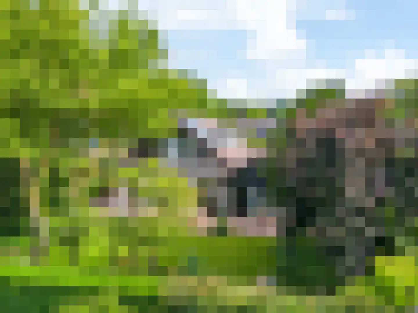 Kievit 36 Castricum thumbnail 40