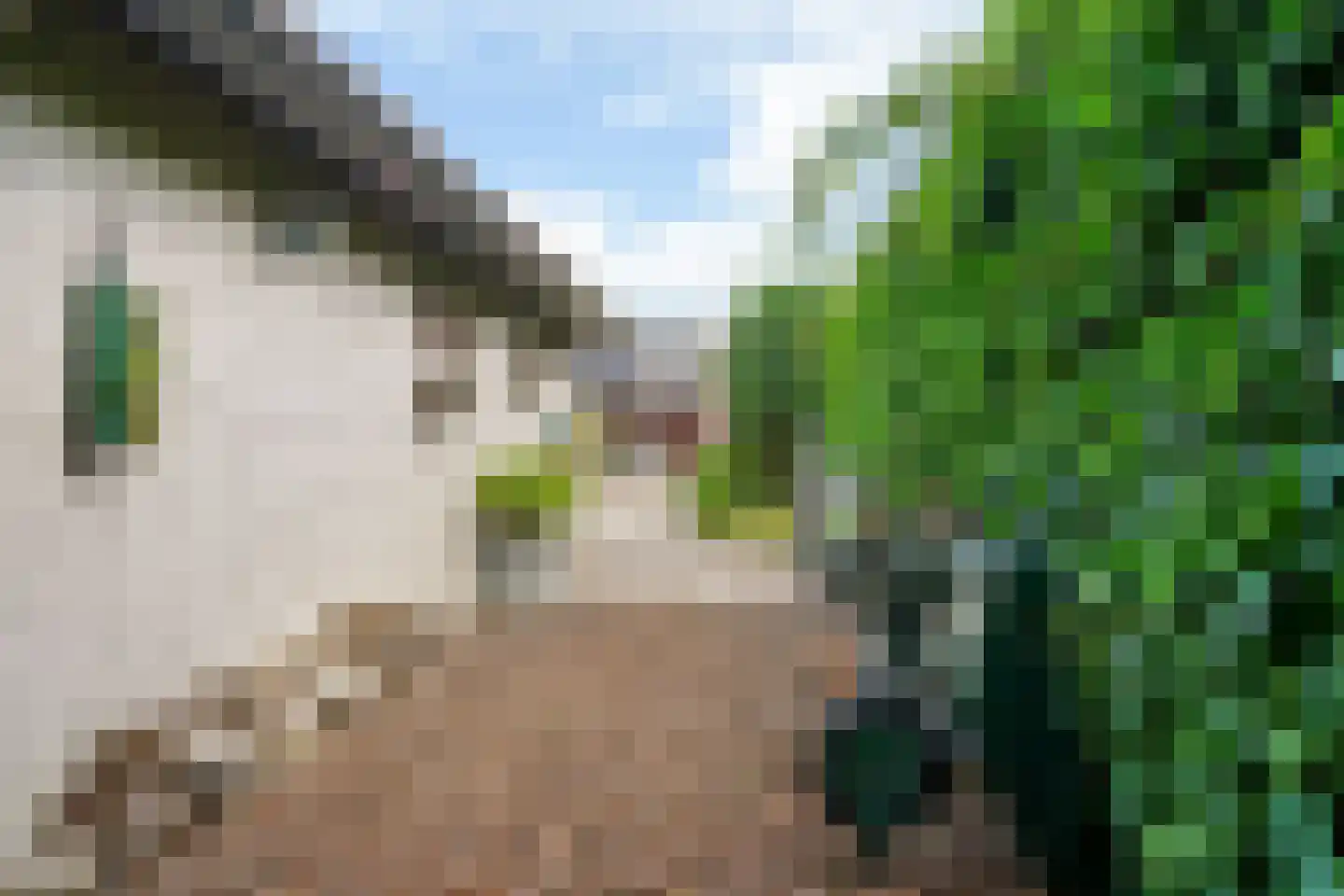 Kievit 36 Castricum thumbnail 42