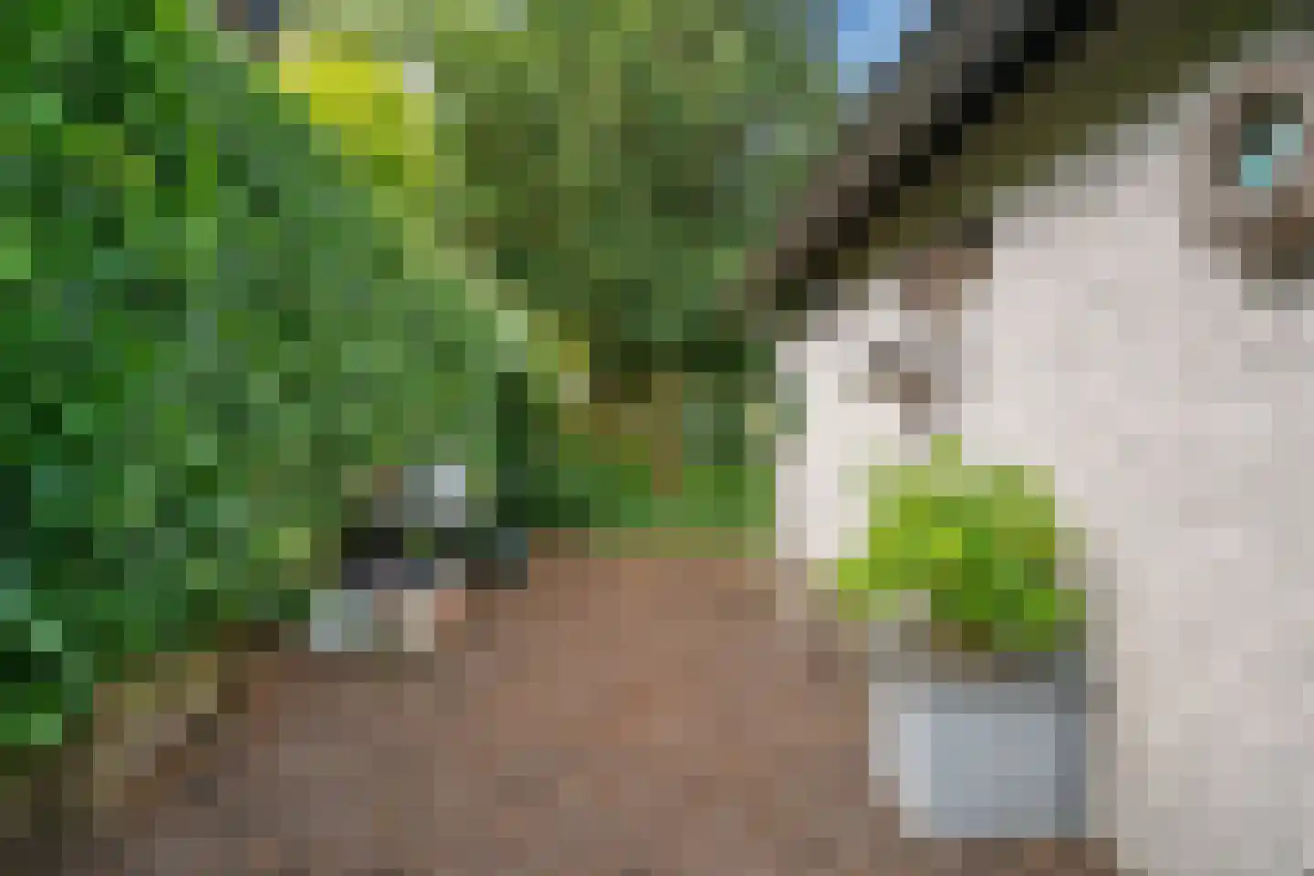 Kievit 36 Castricum thumbnail 43