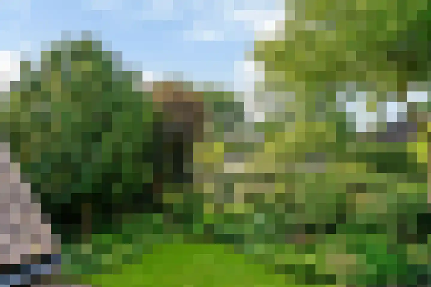 Kievit 36 Castricum thumbnail 46