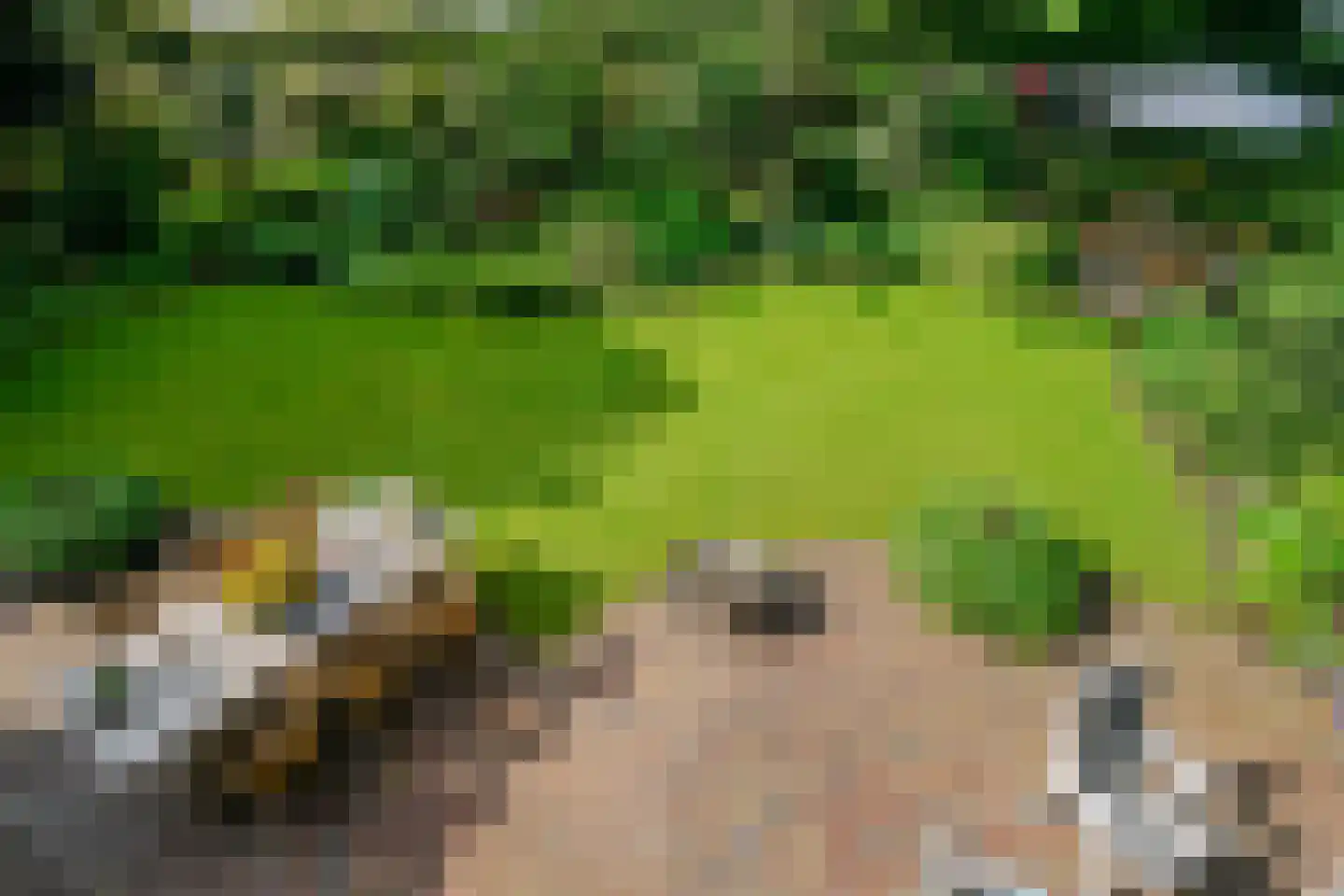 Kievit 36 Castricum thumbnail 47