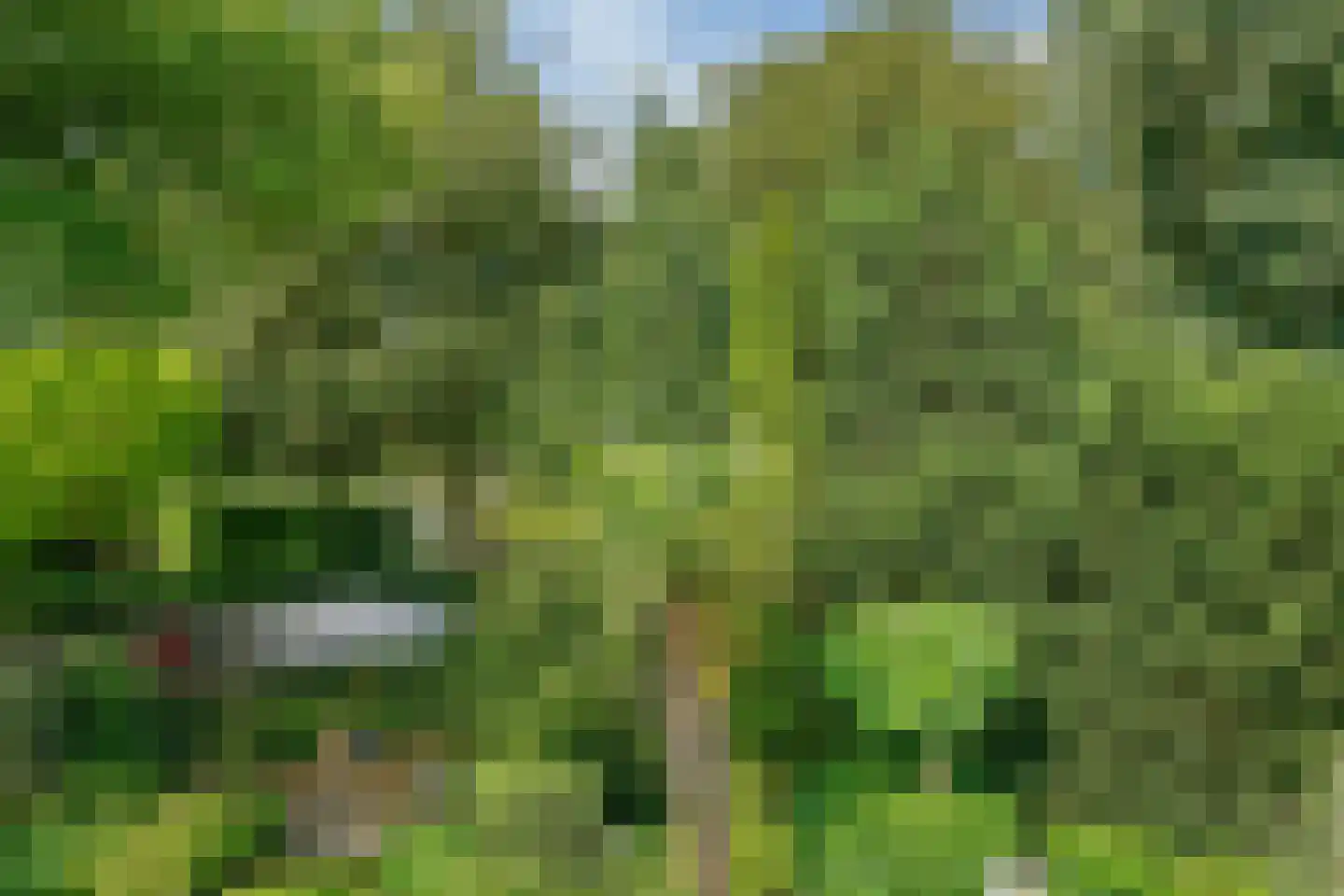 Kievit 36 Castricum thumbnail 48