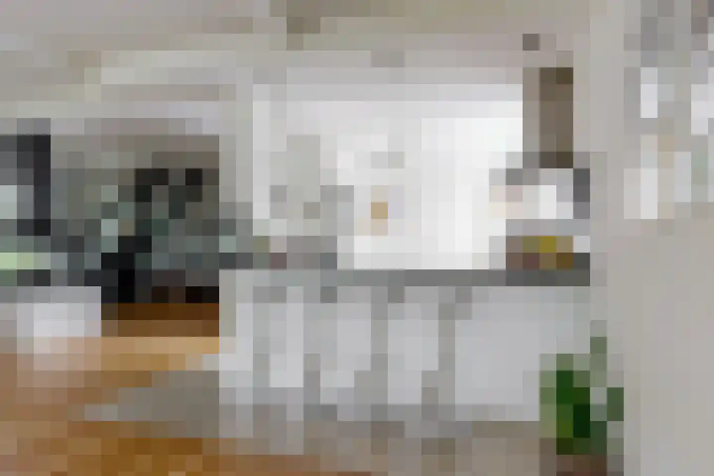 Kievit 36 Castricum thumbnail 5